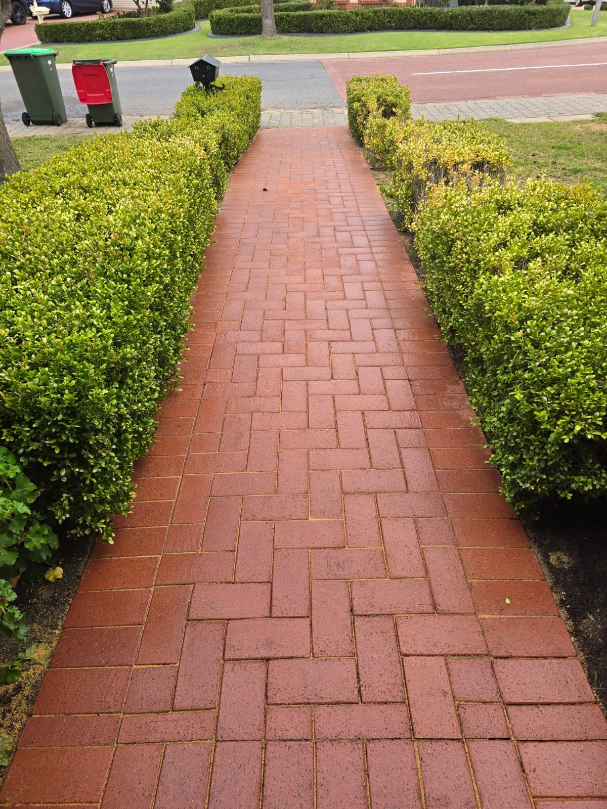 Cleaned paved path